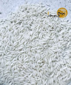 برنج طارم محلی کشت دوم ارگانیک فریدونکنار